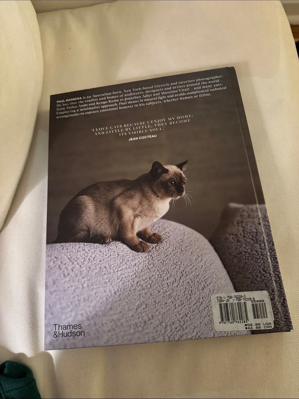 Where They Purr Book